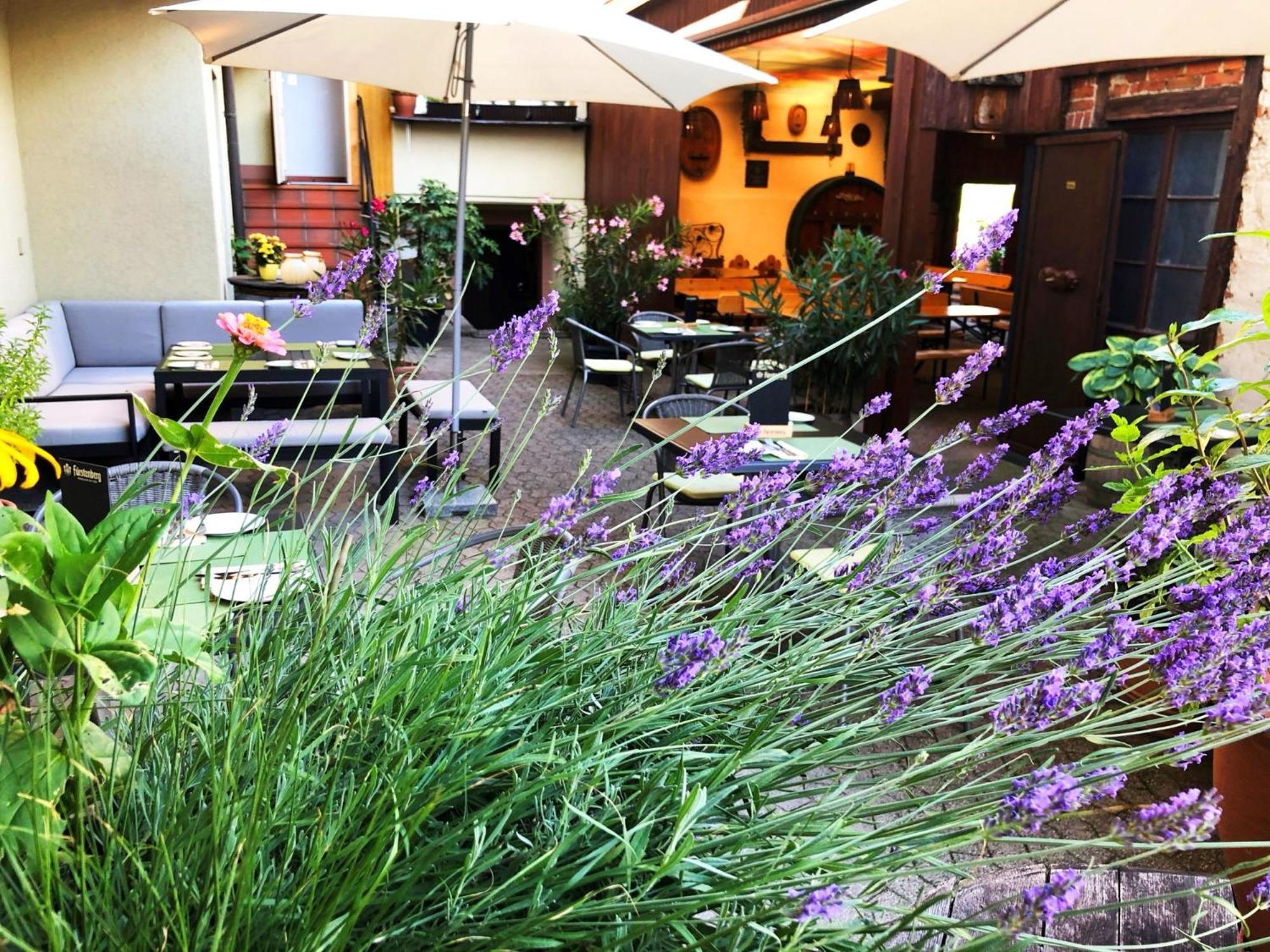 Appartements 'In Vino Veritas' Haslach im Kinzigtal Bagian luar foto