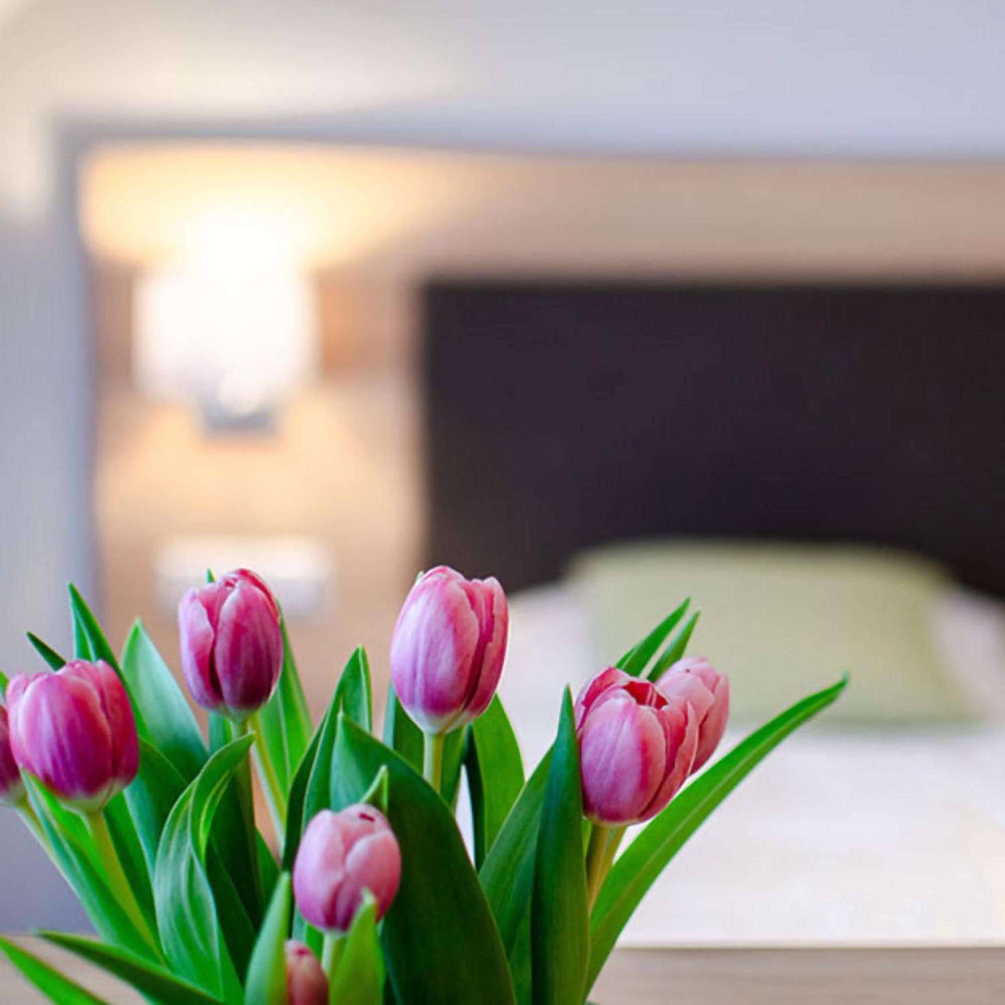 Appartements 'In Vino Veritas' Haslach im Kinzigtal Bagian luar foto